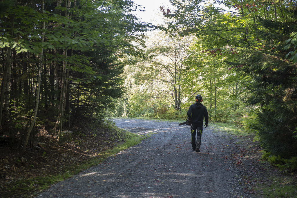 Contract Foxfire Tree Care for High Quality Tree Service